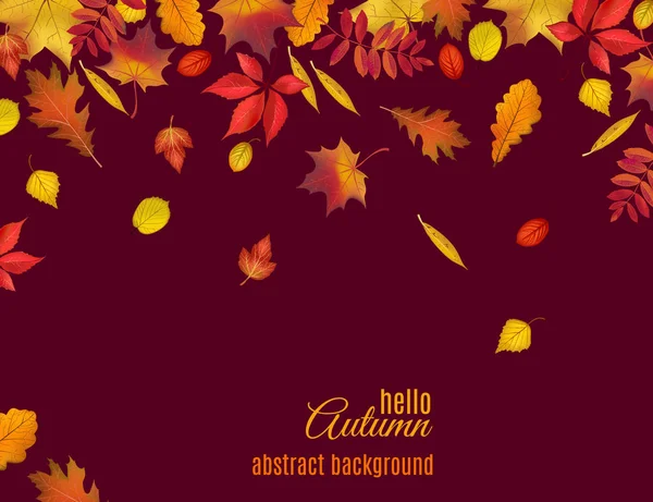 Podzimní listí izolované na tmavě hnědé pozadí — Stockový vektor