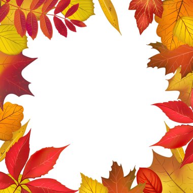 Sonbahar renkli yeşillik çerçeve