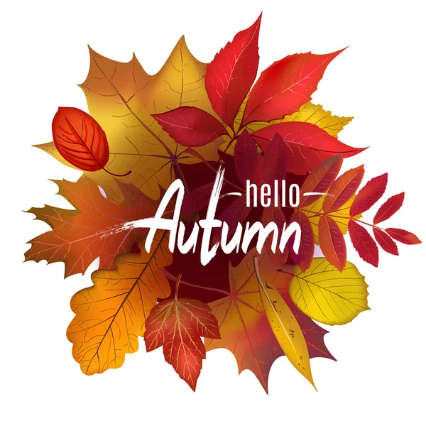 Hello Autumn lettering on colored foliage border composition — Stock Vector