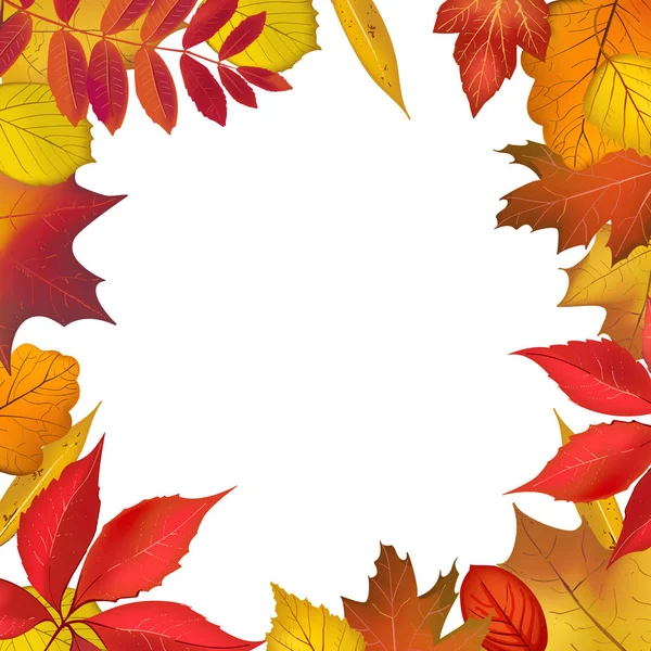 Sonbahar renkli yeşillik çerçeve