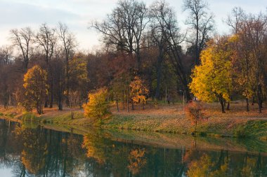Parlak sonbahar yatay, park ve göl