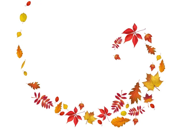 Světlé podzimní listí spirála pohraniční izolované na bílém — Stockový vektor