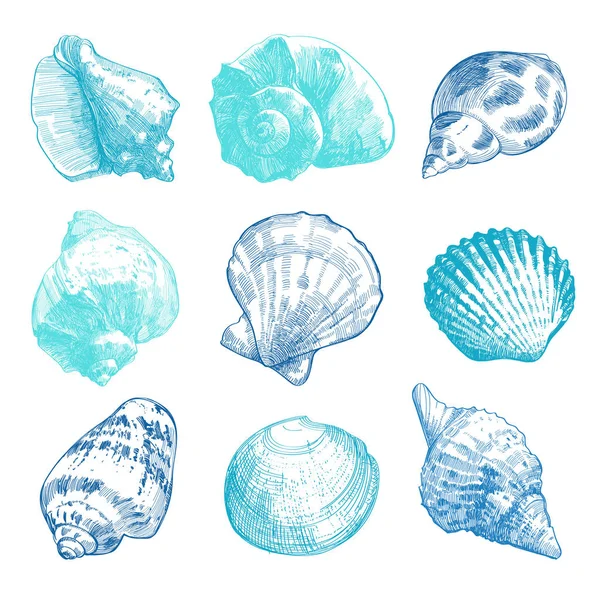 Ensemble croquis coquillages de mer — Image vectorielle