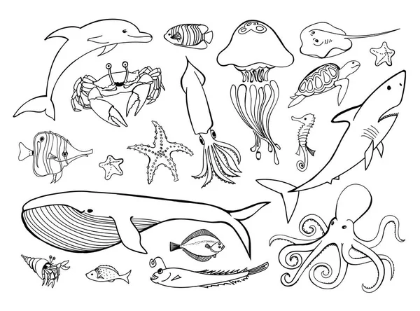 Deniz hayvanları satır simgeleri çizilmiş seti ver. Doodle okyanus yaşam koleksiyonu deniz tasarımınız için. Vektör grafik illüstrasyon