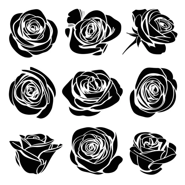 Růže Ručně Tažené Sada Černé Siluety Květy Růže Květenství Bílými — Stockový vektor