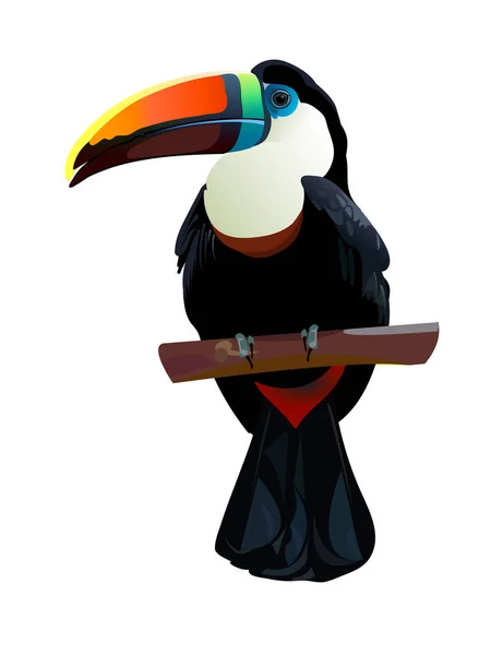 Beyaz arka plan üzerinde izole gerçekçi toucan simgesi. Bir ağaç dalı üzerinde oturan bir tropik kuş güzel silueti. Egzotik hayvan vektör çizim