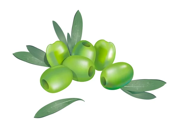 逼真的3D 无骨绿色橄榄 少量叶子组成 在白色背景下分离 矢量有机食品插画 — 图库矢量图片