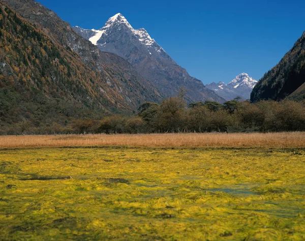 Dağ alanları ve orman