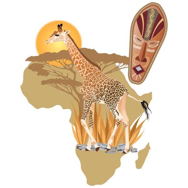 Afrika Wildlife Vectorillustratie — Stockvector