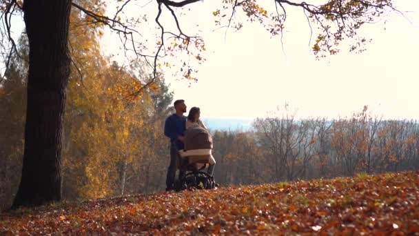 Jeune famille se tient sous le feuillage d'automne — Video