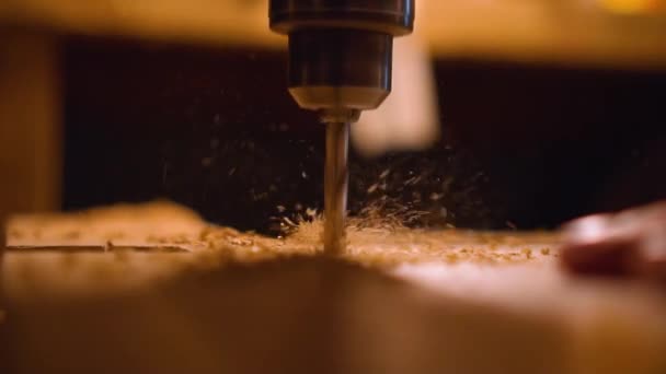 Wood drill drills wood material — Stock Video