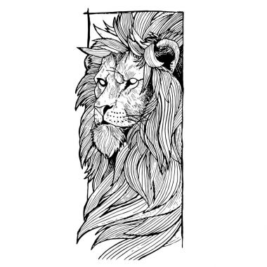 Kral aslan kafa