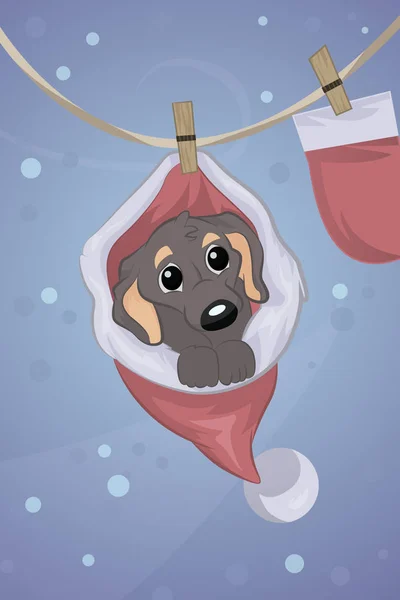 Petit chien dans le chapeau du Père Noël assis — Image vectorielle