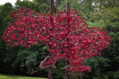 Kırmızı çiçeklerden yapılmış Ukrayna Haritası 