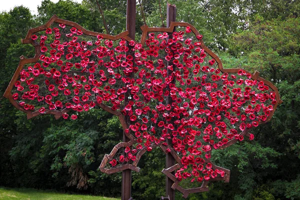 Kırmızı çiçeklerden yapılmış Ukrayna Haritası 