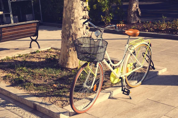 Bicicleta moderna clásica verde con cesta en el atardecer cerca del árbol — Foto de Stock