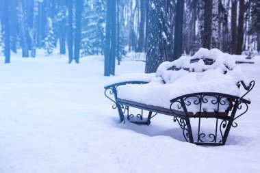 Bir orman parkta karla kaplı metal ahşap Bank süslenmiş