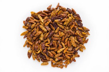 beyaz zemin üzerinde bir tabakta sıcak biber kurutulmuş