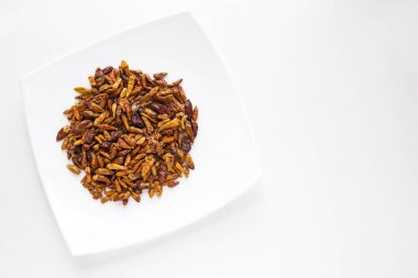 beyaz zemin üzerinde bir tabakta sıcak biber kurutulmuş