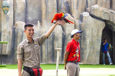 hileler papağan kuş gösteri Vietnam, Nha Trang şehir, Vinpearl eğlence parkı 2018-01-12 yapmakla kuşlar eğitmen dostum