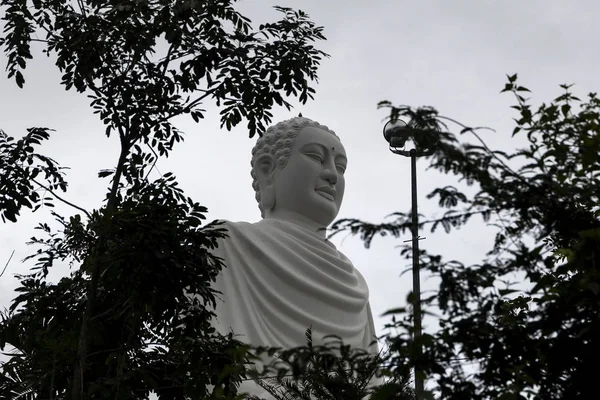 Vista attraverso le foglie su una grande statua di un Buddha bianco vicino a una pagoda buddista — Foto Stock