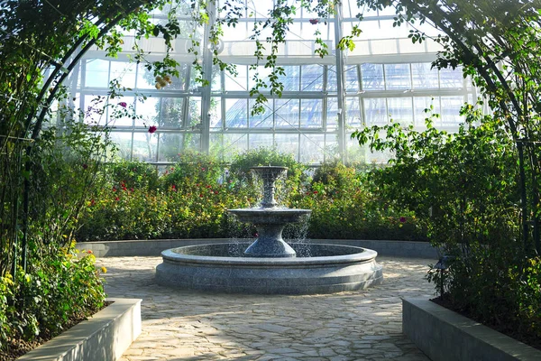 Alley in a botanical garden leading to a fountain surrounded by flowers and plant — Stock Photo, Image