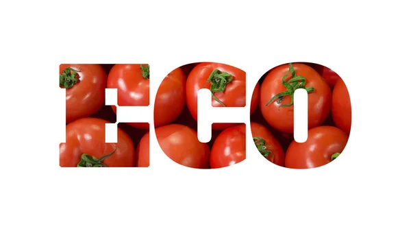 Wort eco aus Foto mit farbigen hellen Blume, isoliert auf weißem Hintergrund — Stockfoto