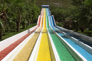 yeşil bitkiler ve avuç içi ile çevrili Aquapark parlak renkli parça ile su kaydırağı 