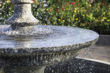 çiçekler bir arka plan üzerinde renkli parlak multi ile çeşme düşen bir su yakın çekim