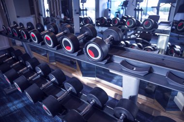 Fitness ve egzersiz ekipman: rafta modern dambıl seti