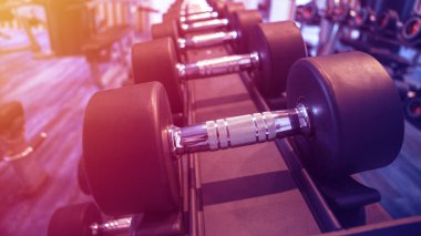 Fitness ve egzersiz ekipman: (16:9 rafta modern dambıl seti)