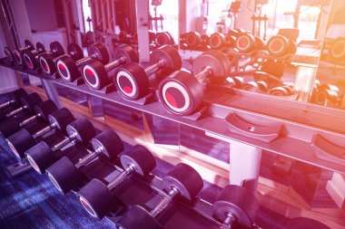 Fitness ve egzersiz ekipman: rafta modern dambıl seti