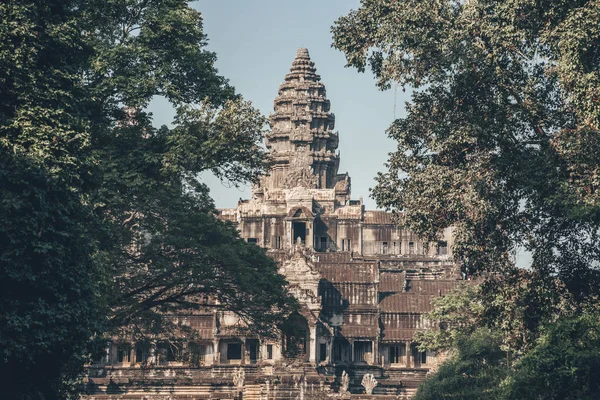 Angkor Wat - Kamboçya 'daki Hindu tapınağı kompleksi, dünyanın en büyük dini anıtı. Popüler turist eğlencesi. Ormanın içinden kuleye bak..