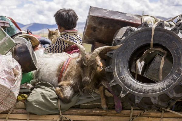 Niño Tibetano Con Carnero Belogings Imagen De Stock