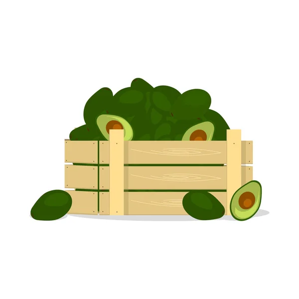 Holzkiste Mit Avocados Flaches Designobjekt — Stockvektor