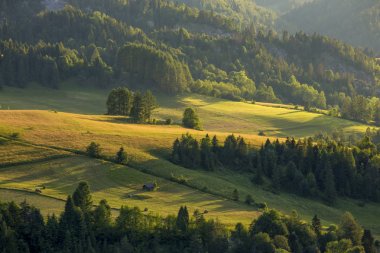 Pieniny dağlar - Polonya Karpatlar 