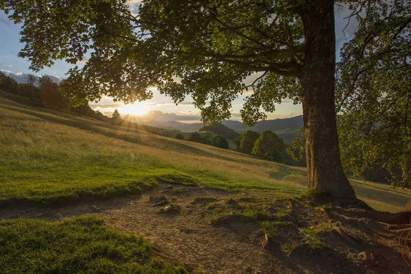 Pieniny dağlar - Karpatlar Polnad