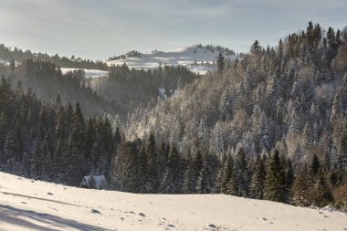 Pieniny dağlar - Polonya Karpatlar 