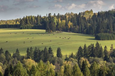 Pieniny dağlar - Polonya Karpatlar 