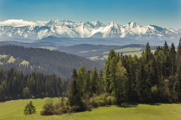 Góry Pieniny Polska Karpat — Zdjęcie stockowe
