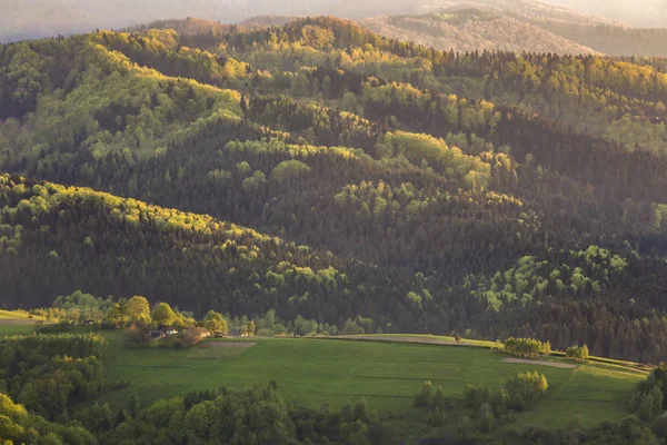 Beskid Sadecki dağlar - Polonya Karpatlar 
