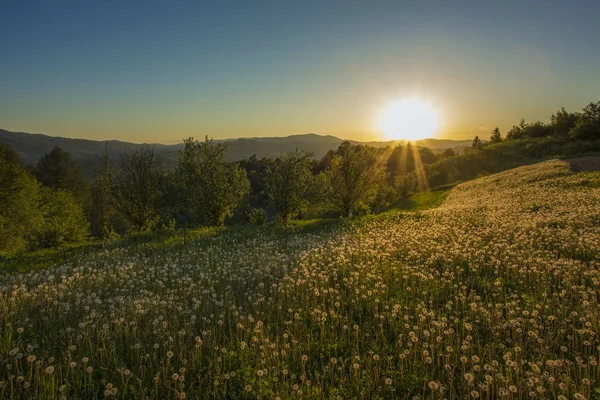 Beskid Sadecki dağlar - Polonya Karpatlar 