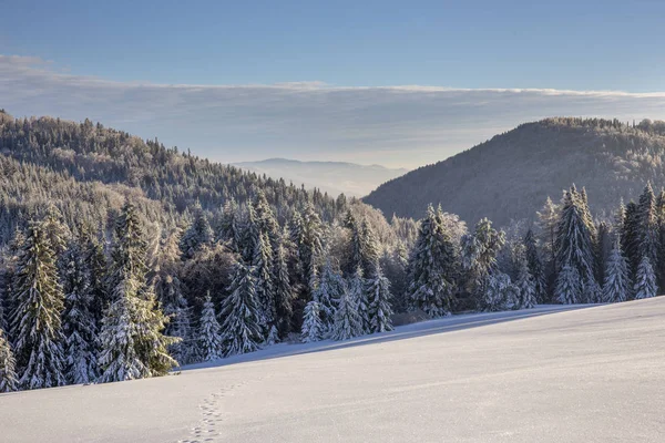 Beskid Sadecki Mountains - Polônia Cárpatos — Fotografia de Stock