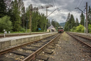 Bieszczady Dağlar - Polonya Karpatlar