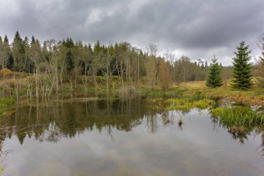 Bieszczady Dağlar - Polonya Karpatlar