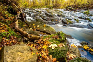 Bieszczady Dağlar - Polonya Karpatlar