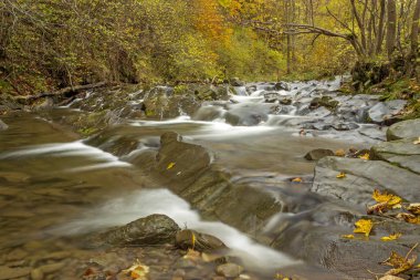 Bieszczady Dağlar - Polonya Karpatlar