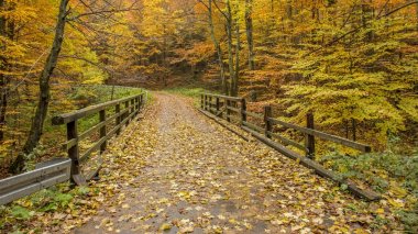 Bieszczady Dağlar - Polonya Karpatlar