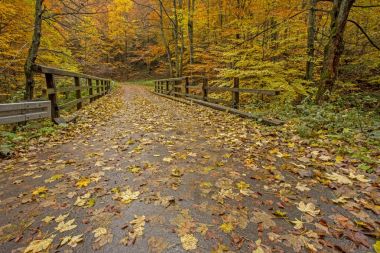 Bieszczady Dağlar - Polonya Karpatlar