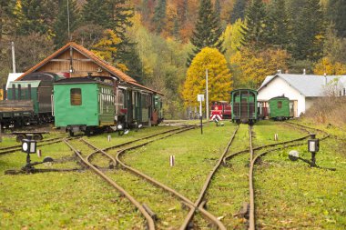 Bieszczady Dağlar - Polonya Karpatlar - Tren